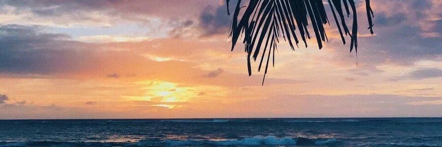 ifbxox's profile banner image