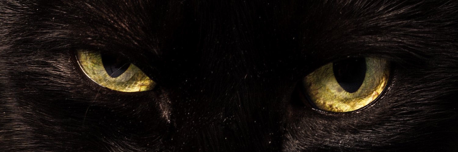 jonas__dias's profile banner image