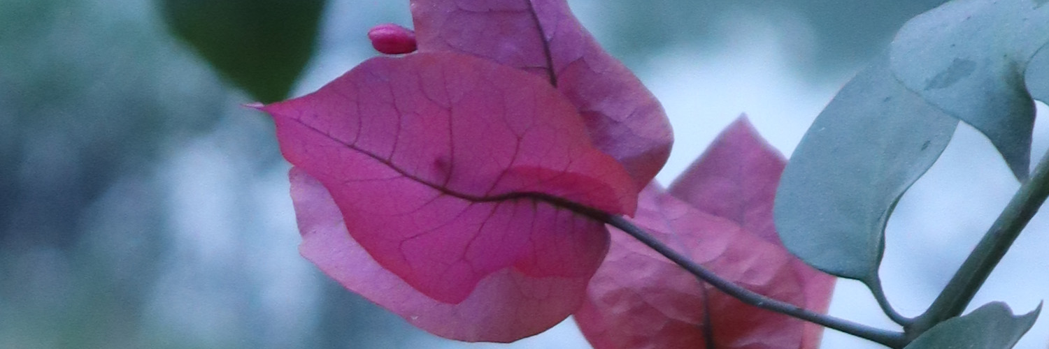 TheEccentricLad's profile banner image