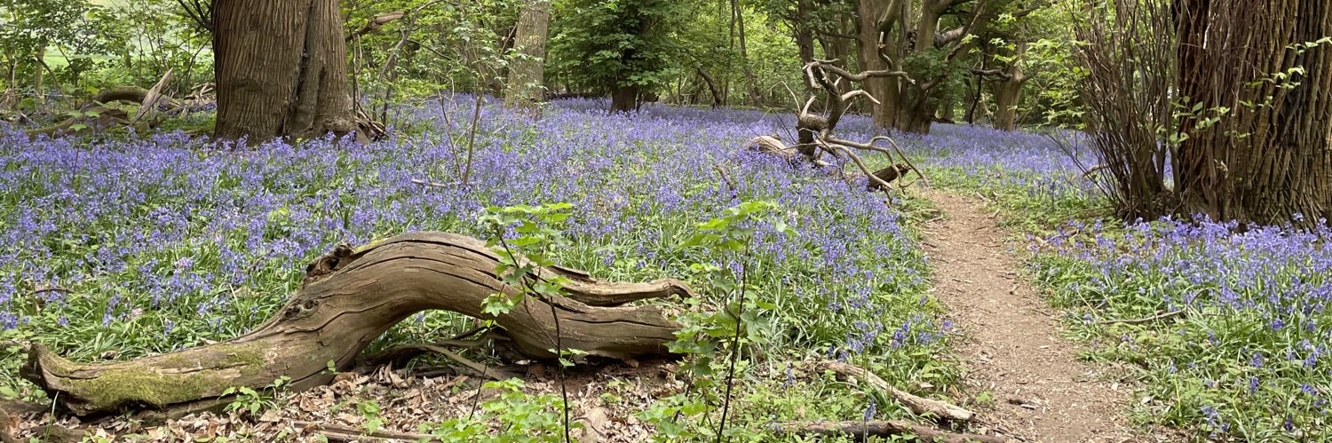 Rachael Benson banner