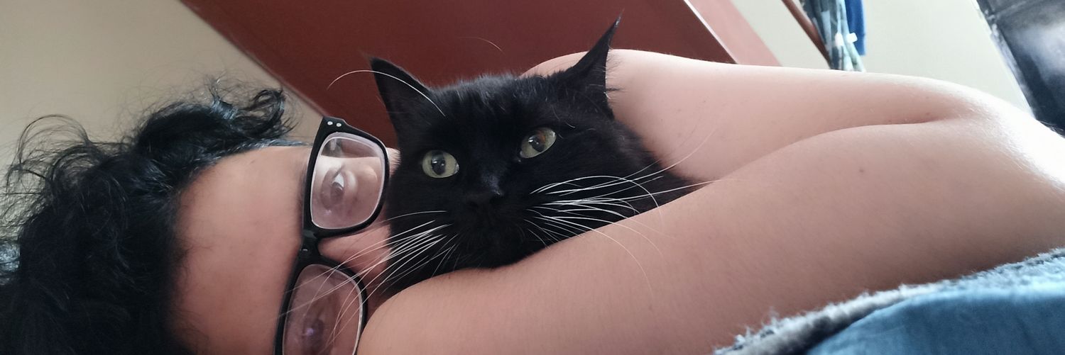 schonekatzen's profile banner image