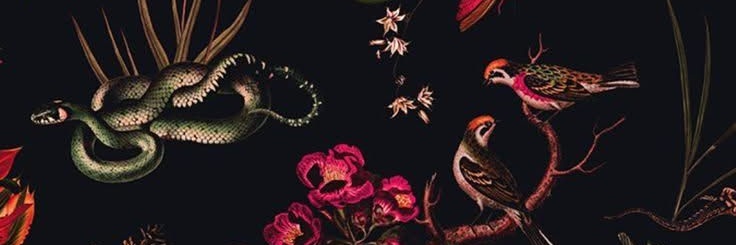 FlorisScorpio's profile banner image