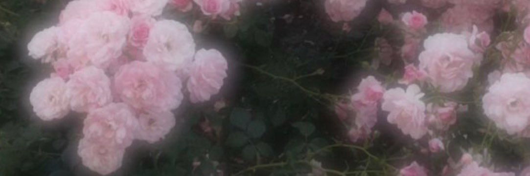 はるか banner