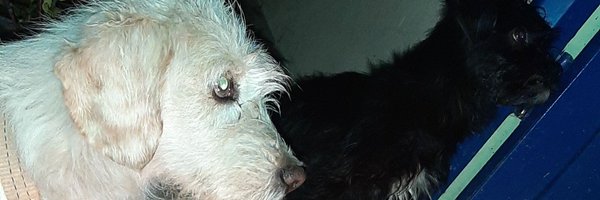 edthna Profile Banner