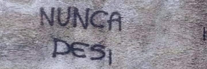 dau banner