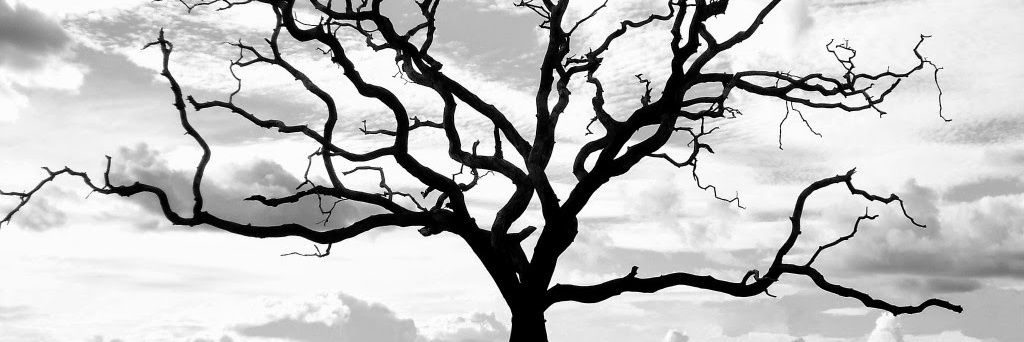 Azzamal_'s profile banner image