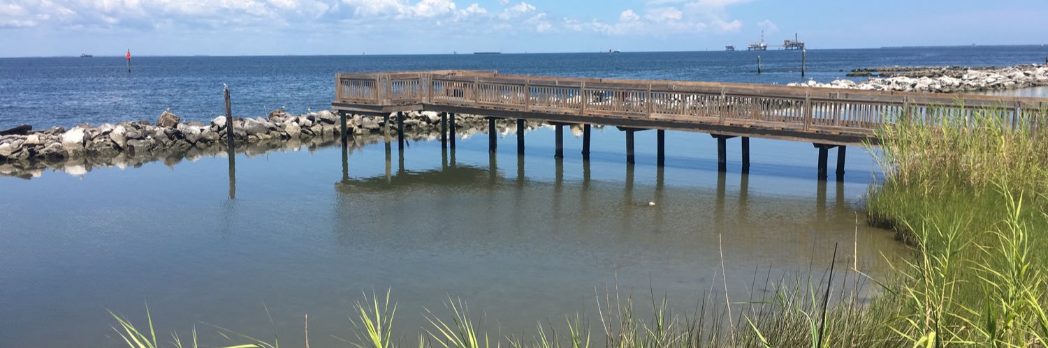 ⚜️Melissa 👩🏻‍💻⚽️🏒⚾️📖🧶⚜️ banner