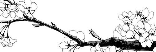 yuni's banner