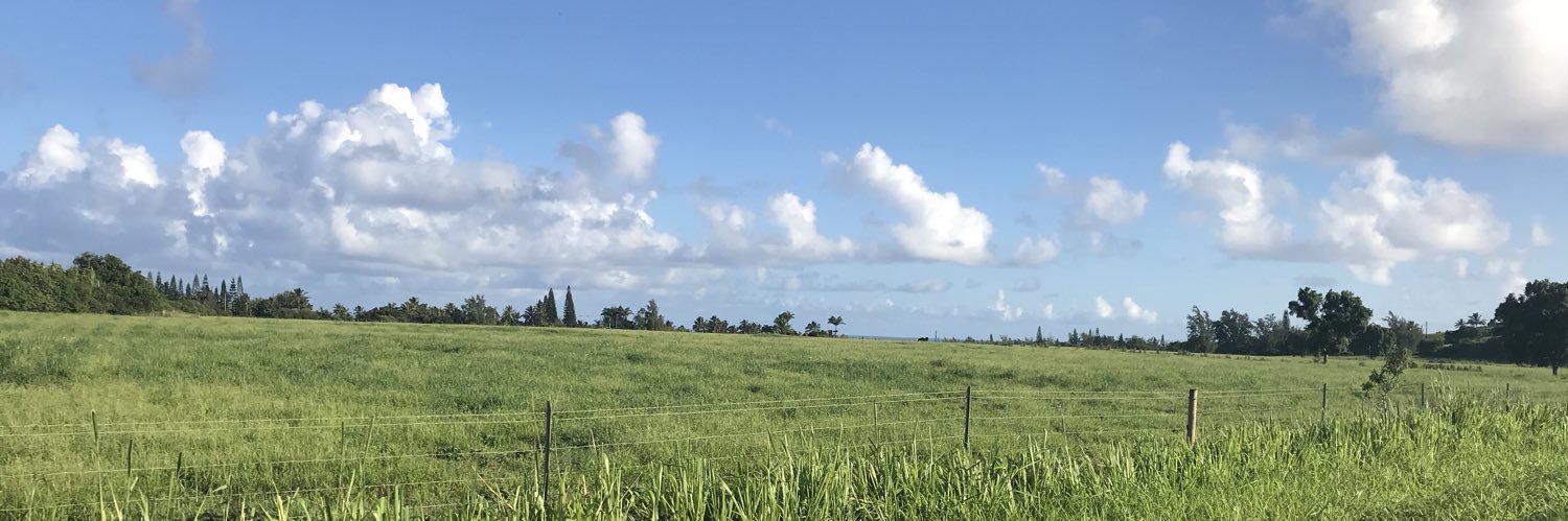 lisamireles's profile banner image