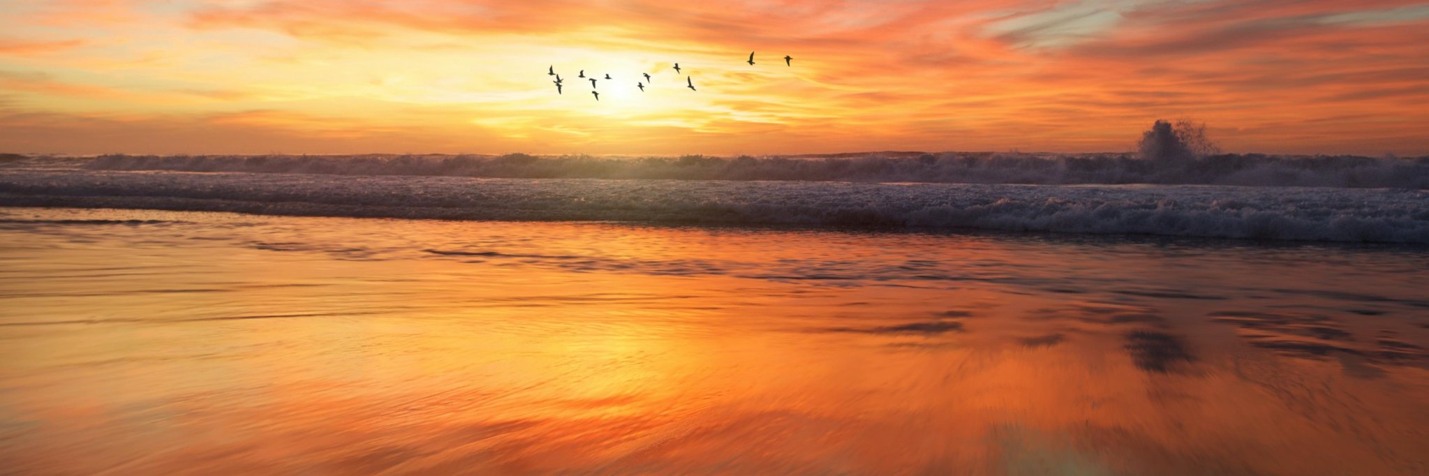Andrea Inserra banner