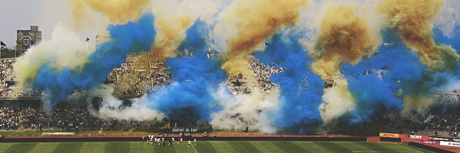 PUMAS LOCURA's banner