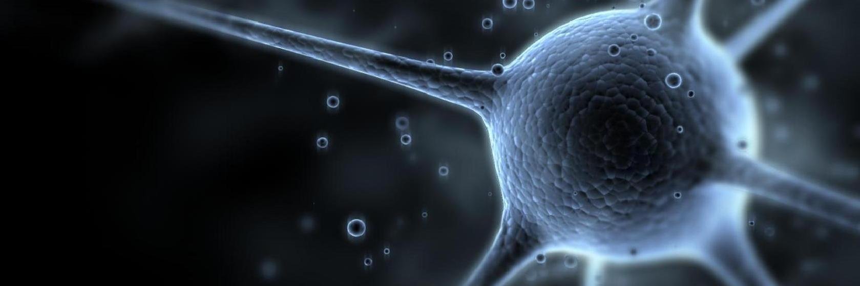 Corey Spitzer - @coreyspitzer.bsky.social banner