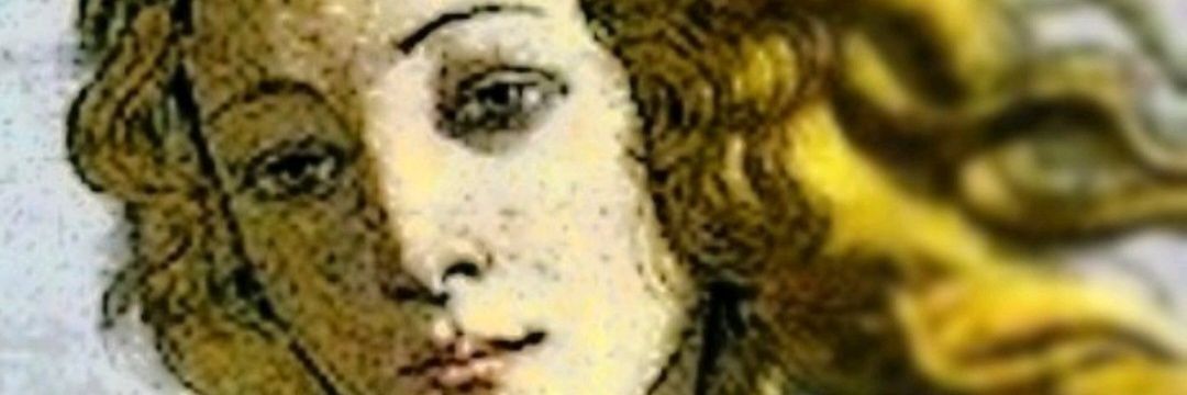 María Francisca Tomasello Cruz banner