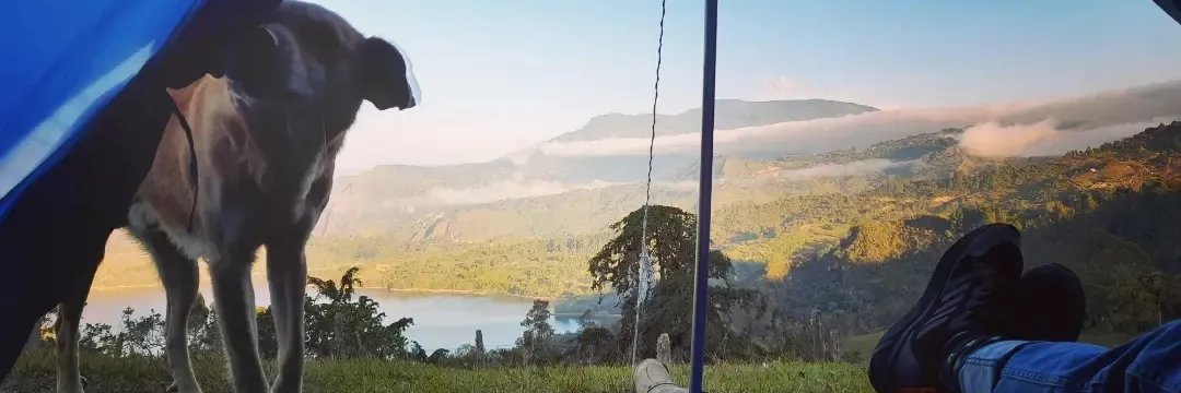 Felipe Torres banner