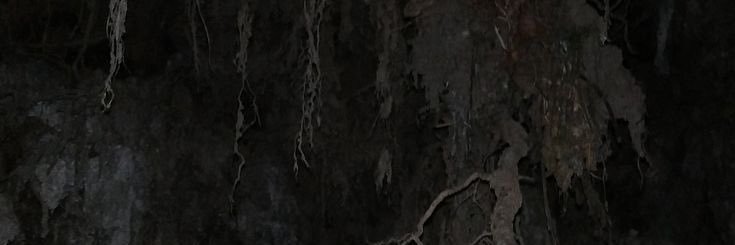 ecertsa's profile banner image