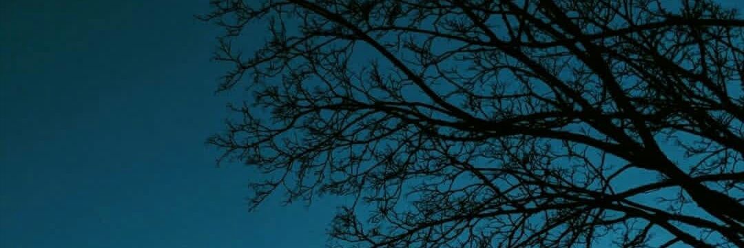 elvank99's profile banner image