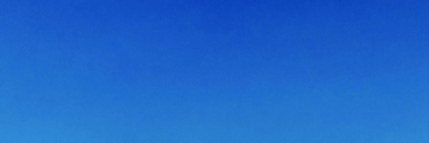rascal_help_you's profile banner image