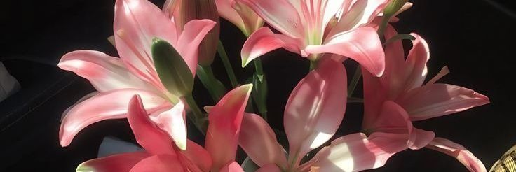 unsspecified's profile banner image
