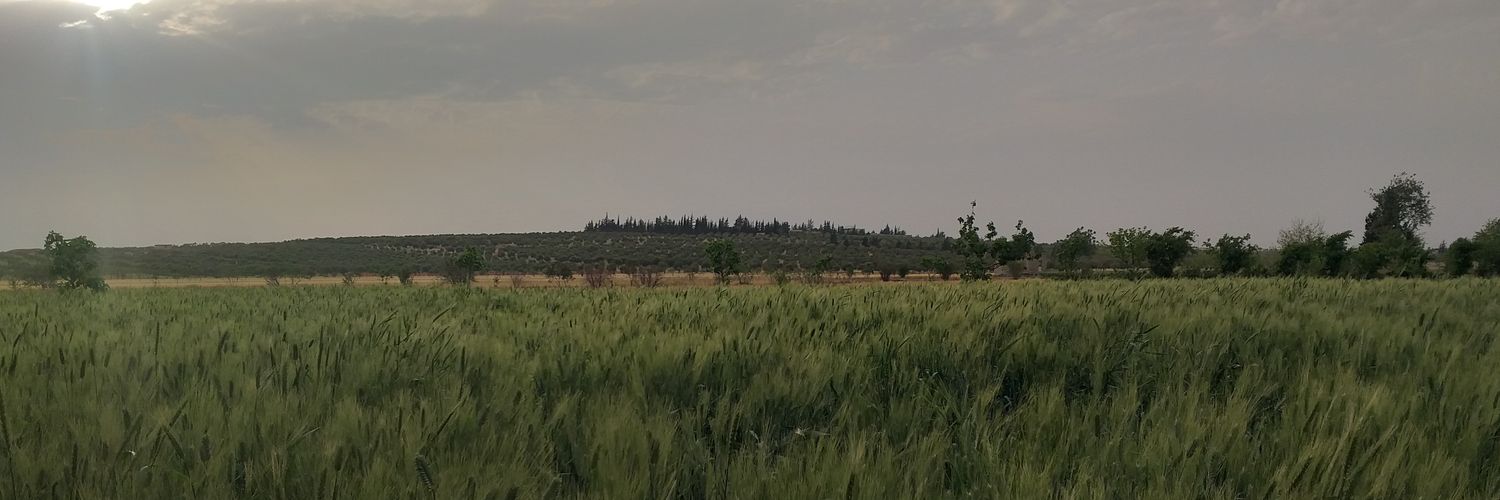 Hasansk0013's profile banner image