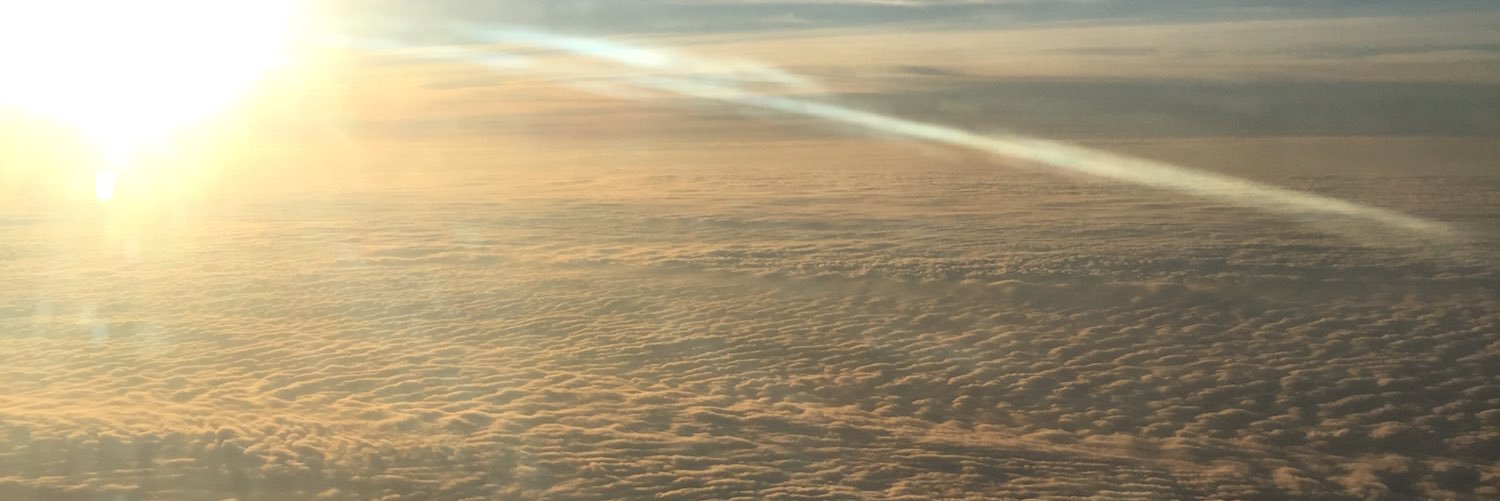 dwnelson's profile banner image