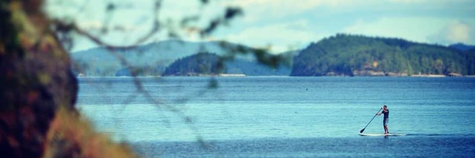 warkd's profile banner image