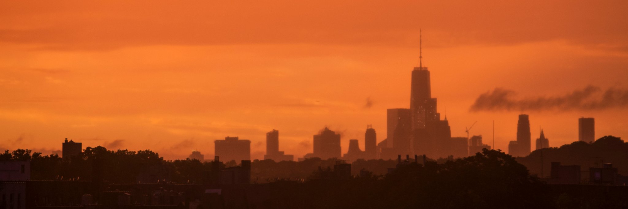 Katie Dadarria banner