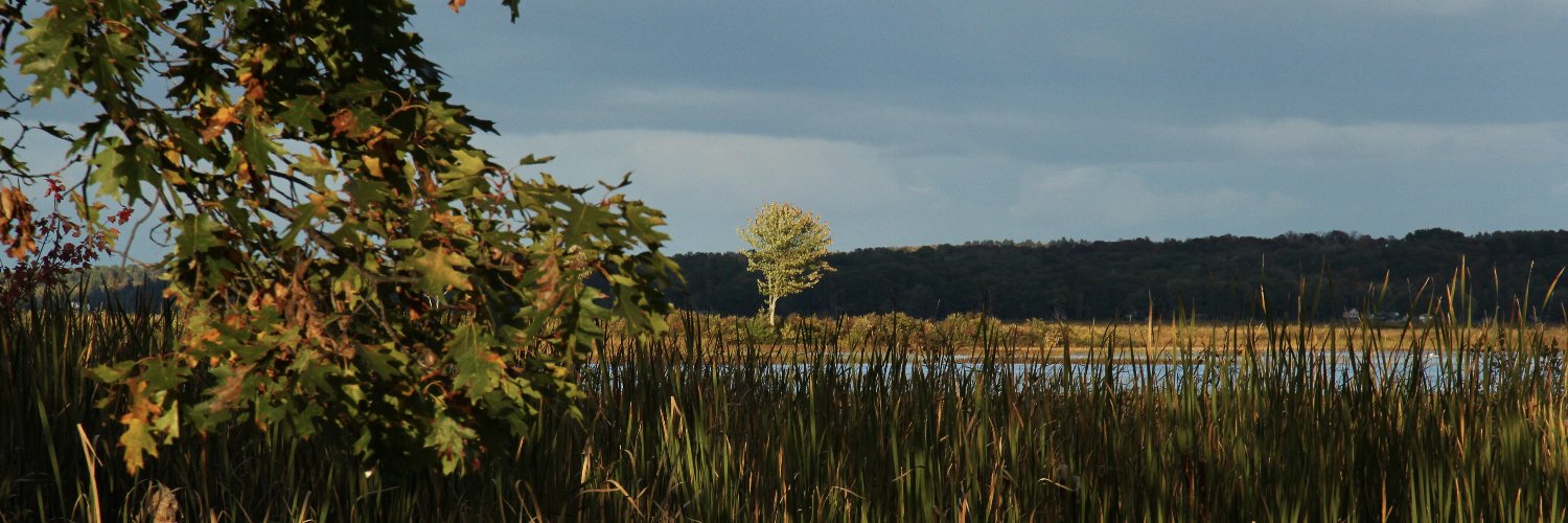 HarmonyWheeler's profile banner image