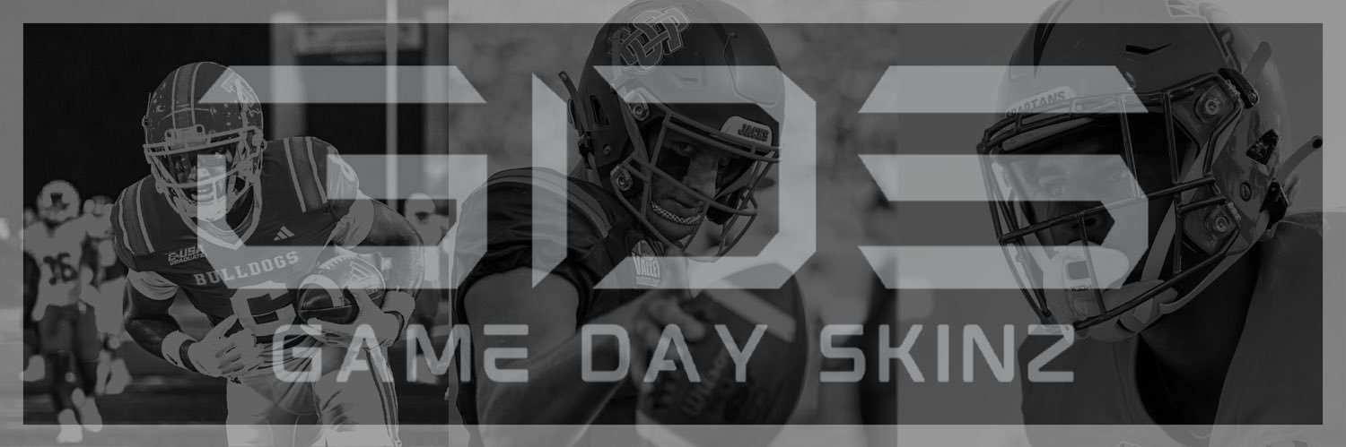 GameDaySkinz's banner