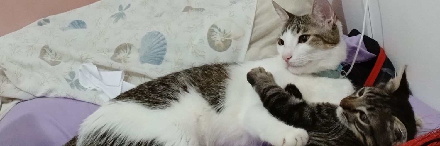 Mariele Prof de français banner