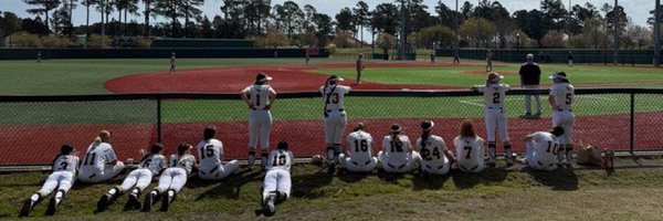 softballatAP Profile Banner