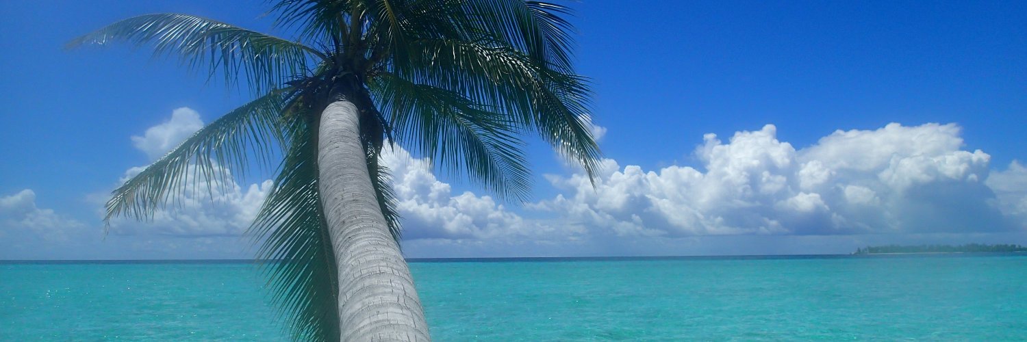 TravellerKate's profile banner image