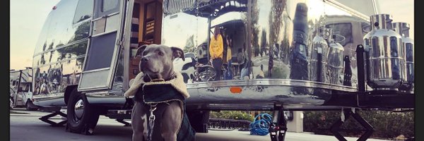 typochondriac Profile Banner