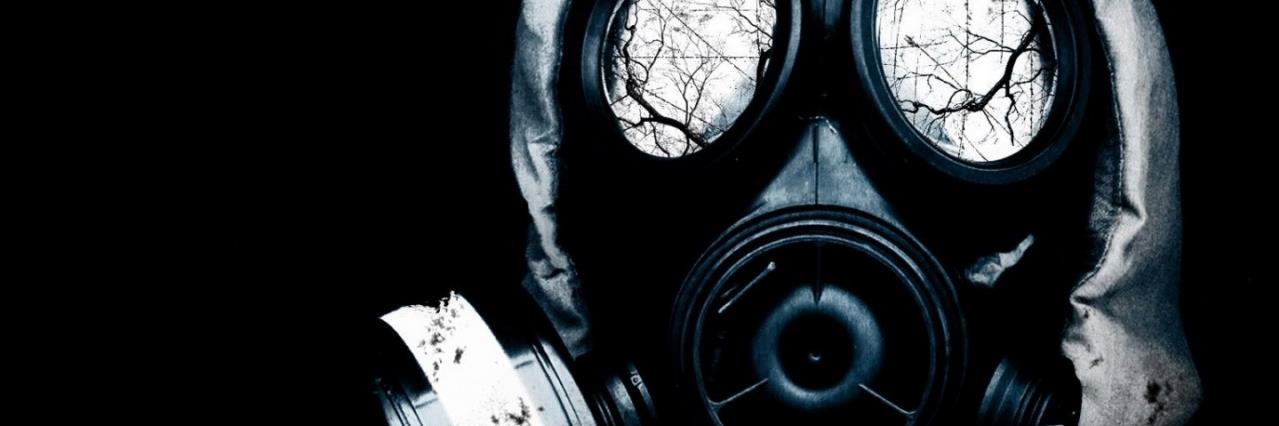 Palpite's profile banner image