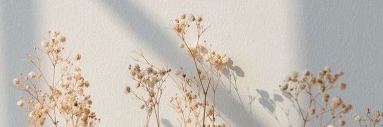 silkykissy's profile banner image