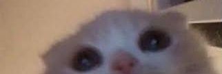 RauzesFGC's profile banner image