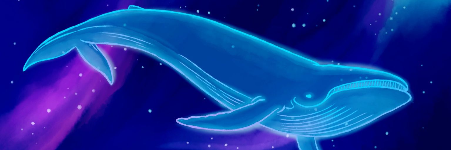 AndrePaz 🎨🖌️ banner