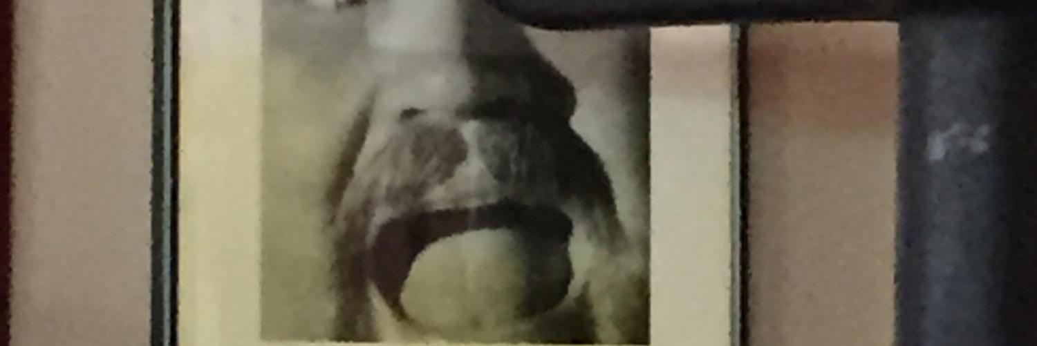 phats00's profile banner image
