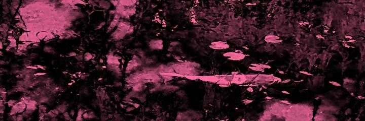 v 👁️‍🗨️'s banner