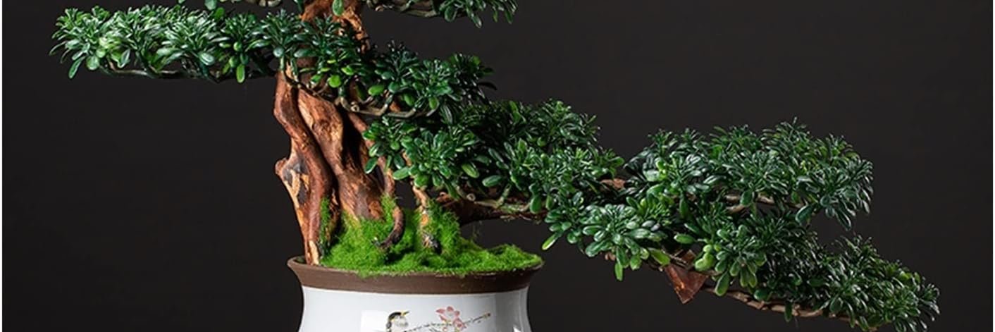 saoban sabrin banner