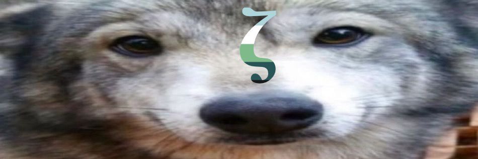 Kn0ttyKit's profile banner image