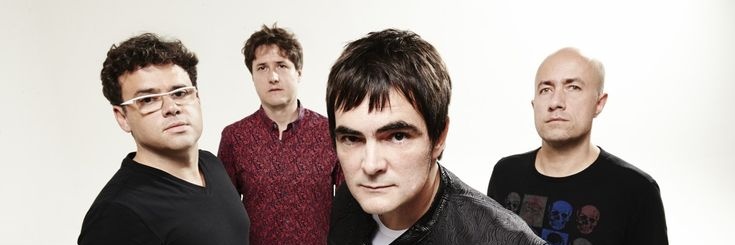 Thaisão little ass banner