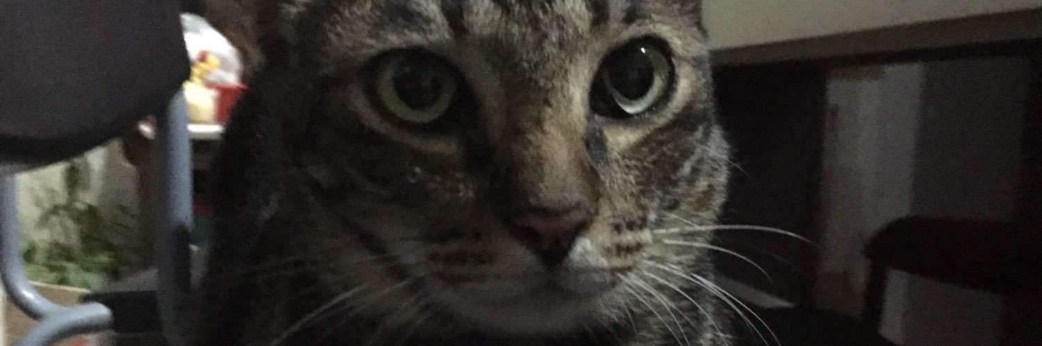 nomengarez's profile banner image