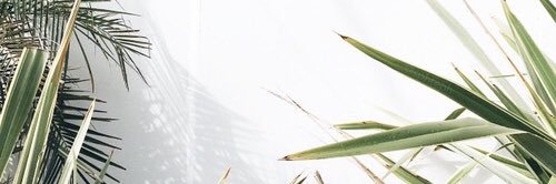 kaybecrazee's profile banner image