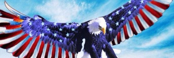 EagleVTuber Profile Banner