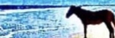10 Second Reviews banner