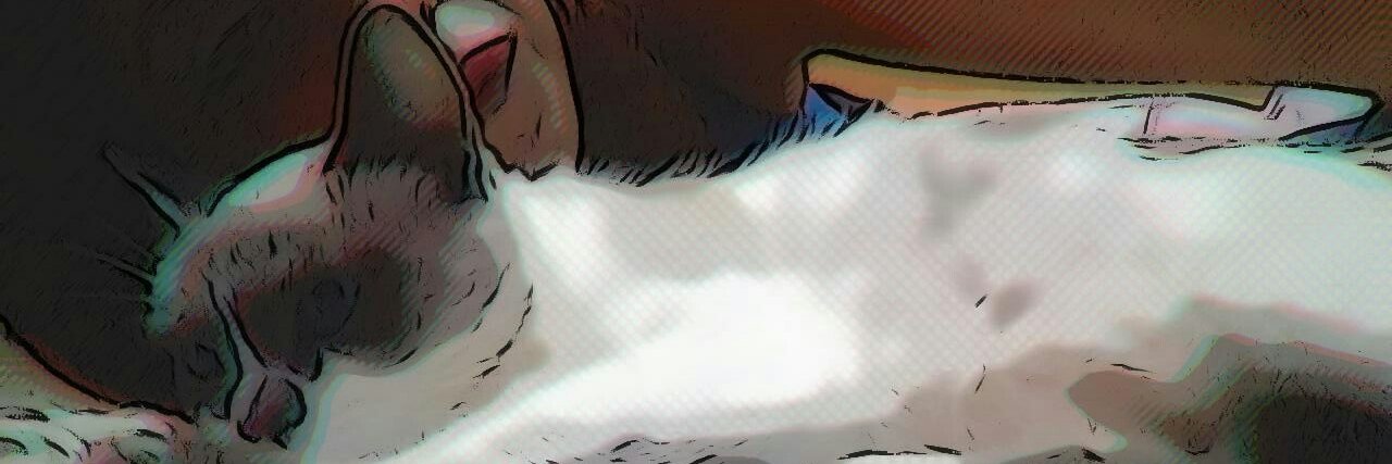liebeewig69's profile banner image