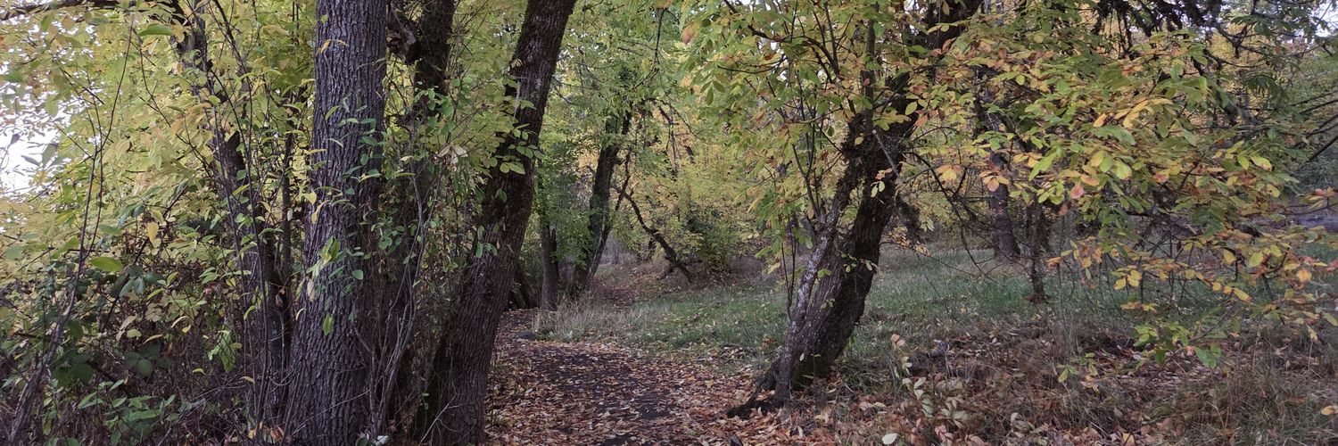 Alanzo banner
