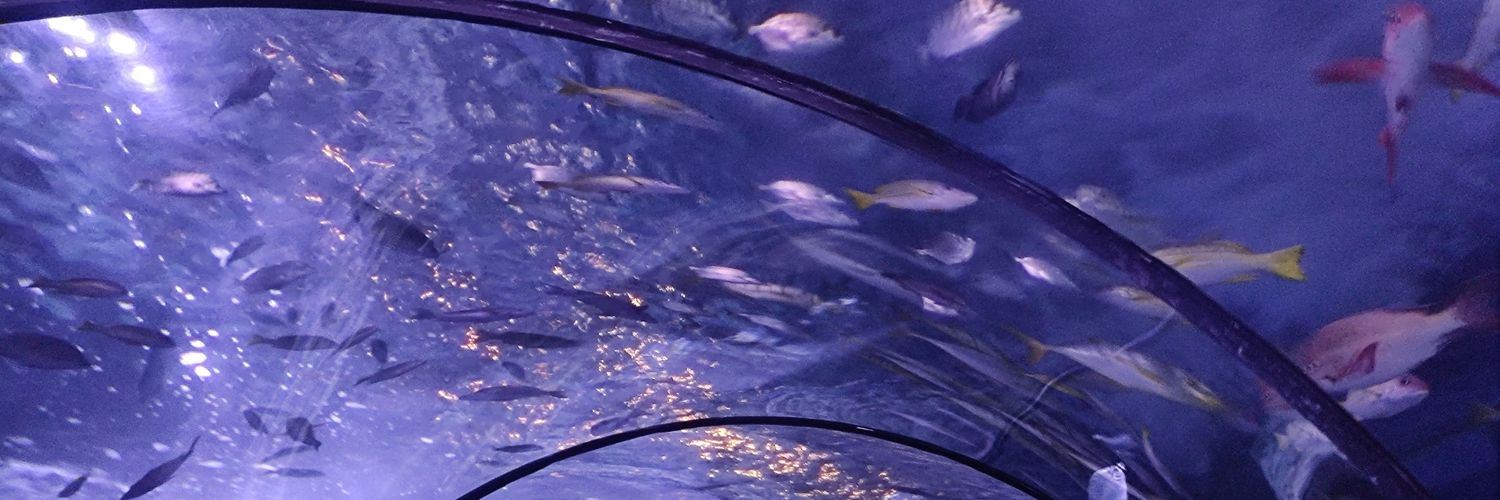 Champagne🖌️ banner