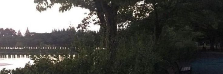 TS. banner