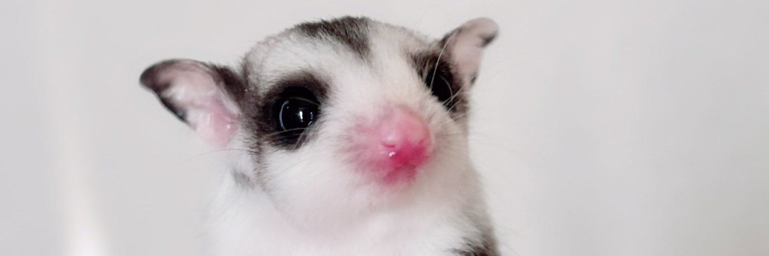 かゆもれ©（馬車馬） banner